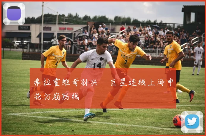 弗拉霍维奇孙兴慜巨星连线上海申花打崩防线