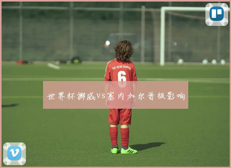 世界杯挪威vs塞内加尔晋级影响