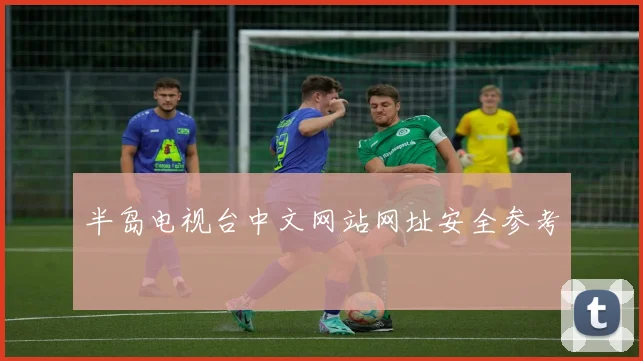 半岛电视台中文网站网址安全参考