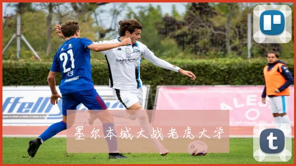 墨尔本城大战老虎大学