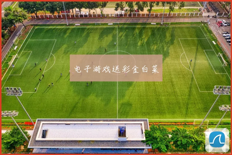 电子游戏送彩金白菜