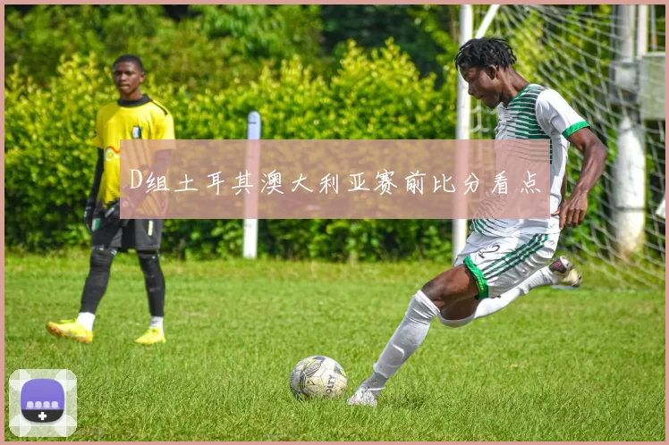 D组土耳其澳大利亚赛前比分看点