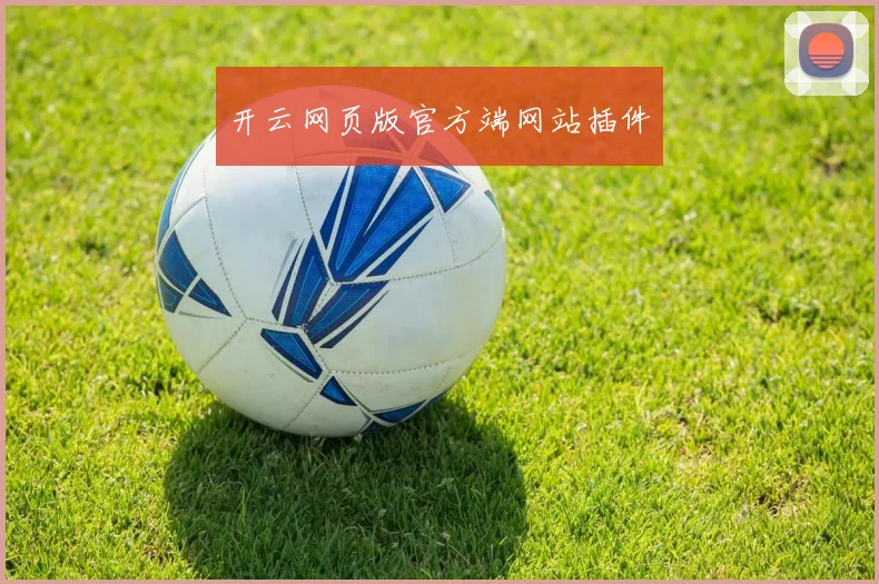 开云网页版官方端网站插件