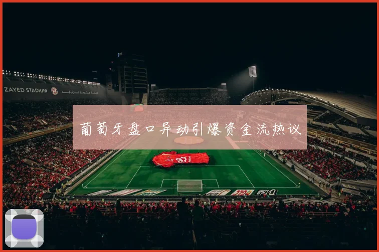葡萄牙盘口异动引爆资金流热议