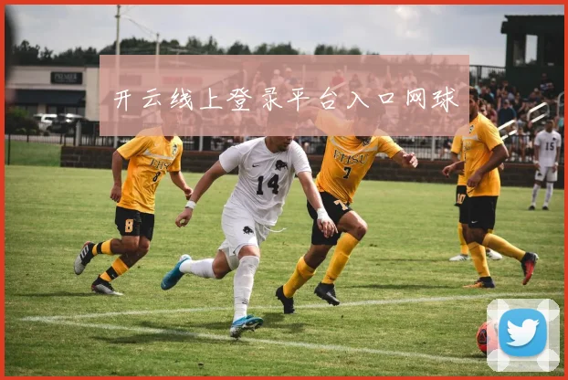 开云线上登录平台入口网球