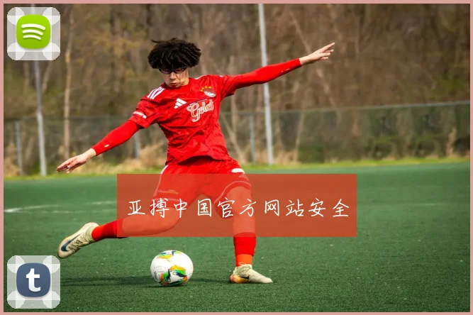 亚搏中国官方网站安全