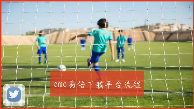 emc易倍下载平台流程