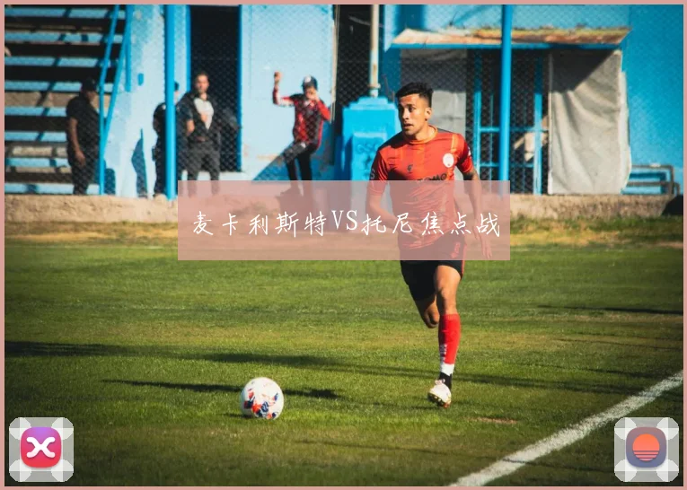 麦卡利斯特VS托尼焦点战