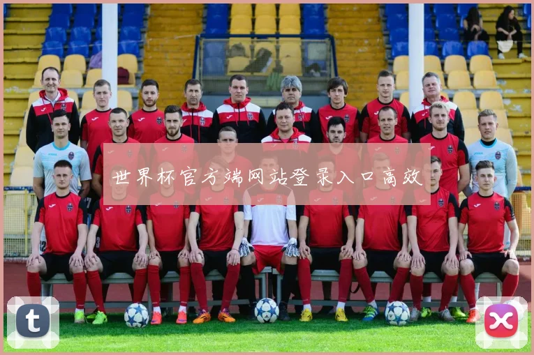 世界杯官方端网站登录入口高效