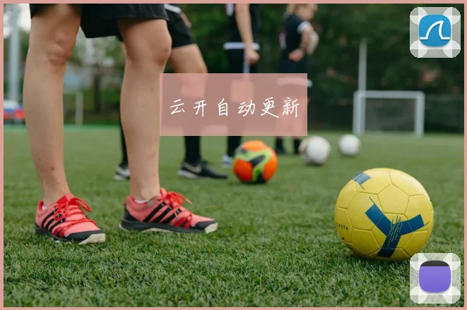 云开自动更新