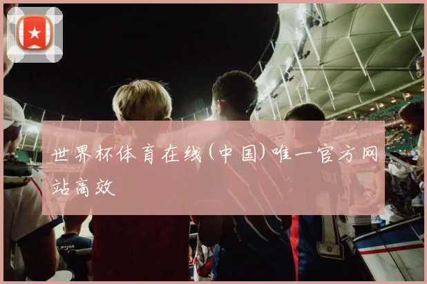 世界杯体育在线(中国)唯一官方网站高效