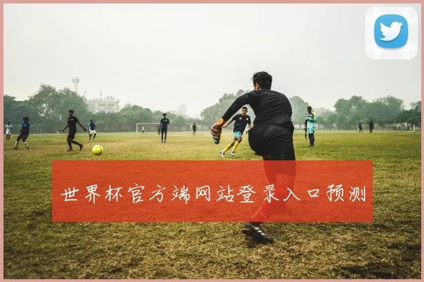 世界杯官方端网站登录入口预测