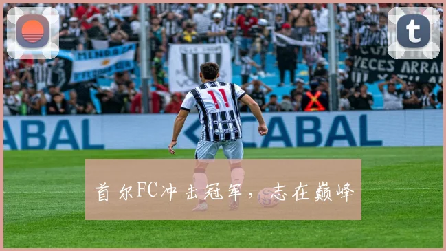 首尔FC冲击冠军，志在巅峰