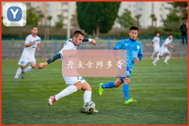 丹麦会师多哥