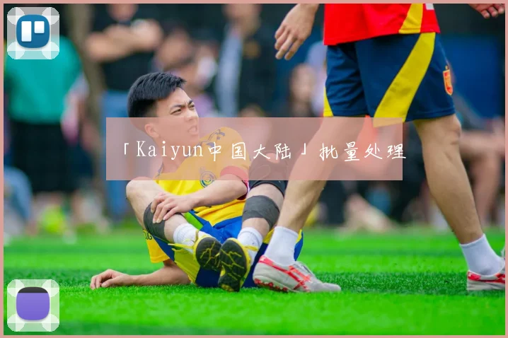 「Kaiyun中国大陆」批量处理