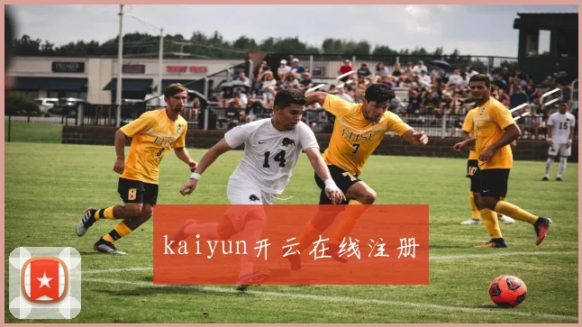 kaiyun开云在线注册