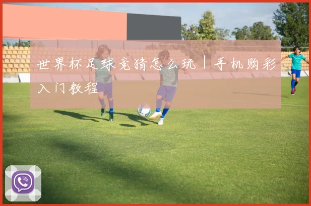 世界杯足球竞猜怎么玩｜手机购彩入门教程