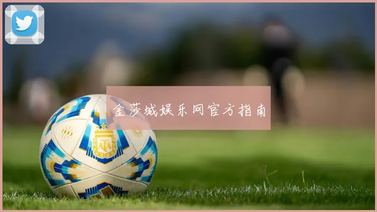 金莎城娱乐网官方指南