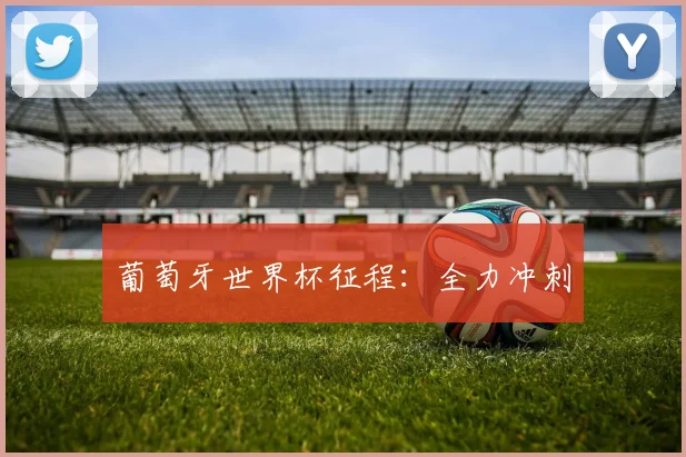 葡萄牙世界杯征程：全力冲刺