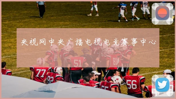 央视网中央广播电视电竞赛事中心