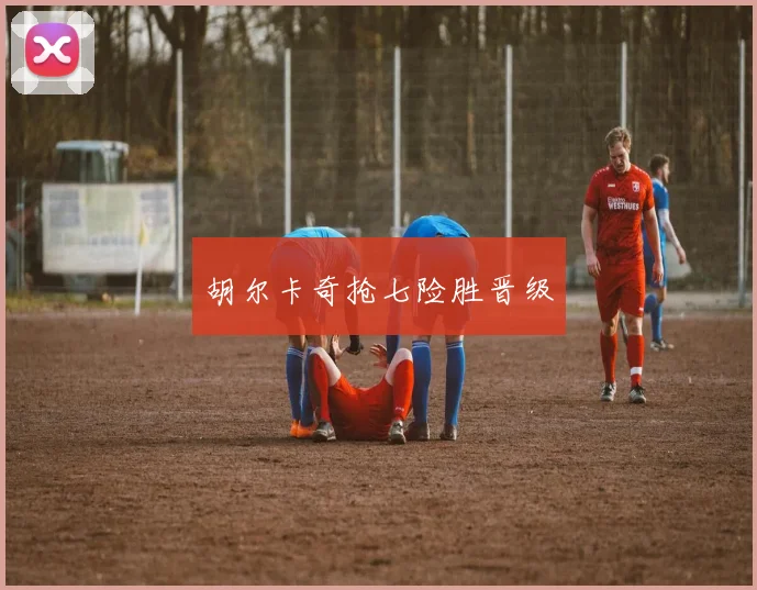 胡尔卡奇抢七险胜晋级