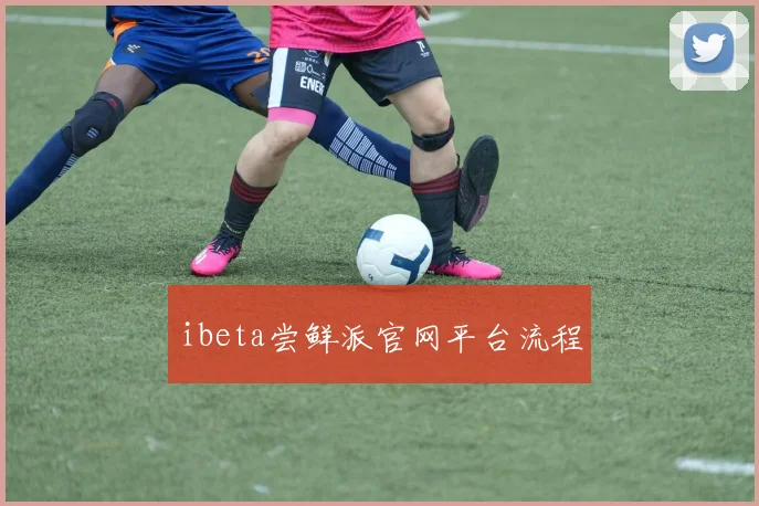 ibeta尝鲜派官网平台流程