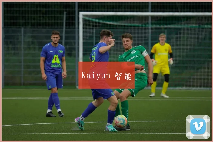 Kaiyun 智能