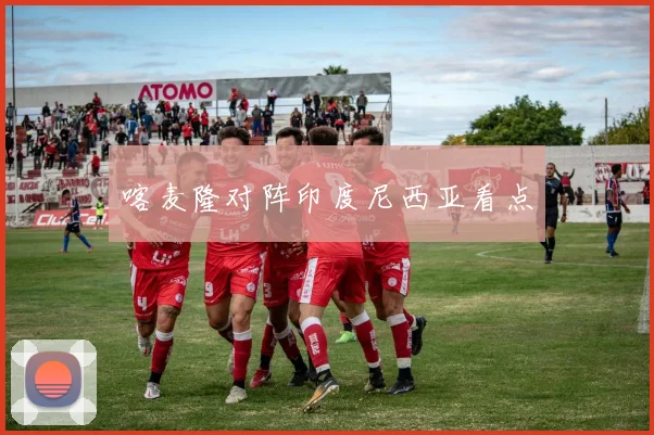 喀麦隆对阵印度尼西亚看点
